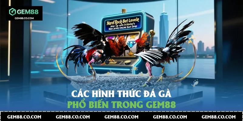 Các hình thức đá gà phổ biến trong Gem88