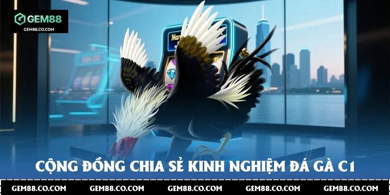 Cộng đồng chia sẻ kinh nghiệm đá gà C1